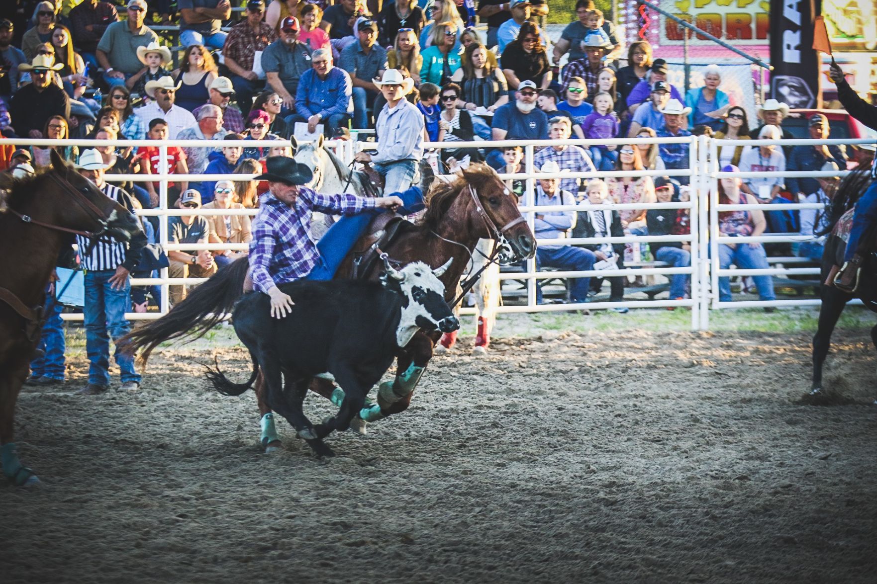 Buffalo Bill Rodeo Night 1 (14).jpg
